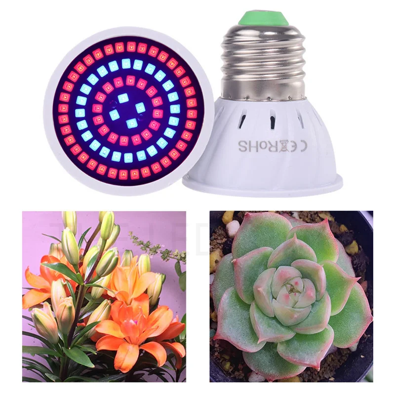 Luz LED de Crecimiento Hidropónico Espectro Completo E27 - Imagen 2