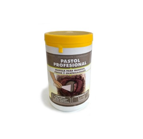 Pasta para cicatrizar Pastol